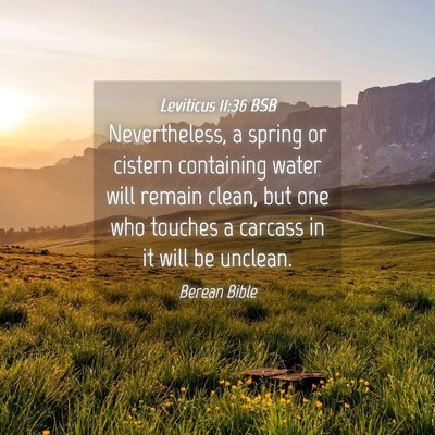 Picture 04 - Leviticus 11:36 BSB - Nevertheless, a spring or cistern containing - Bible Verse Picture