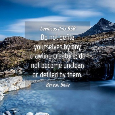 Picture 04 - Leviticus 11:43 BSB - Do not defile yourselves by any crawling - Bible Verse Picture