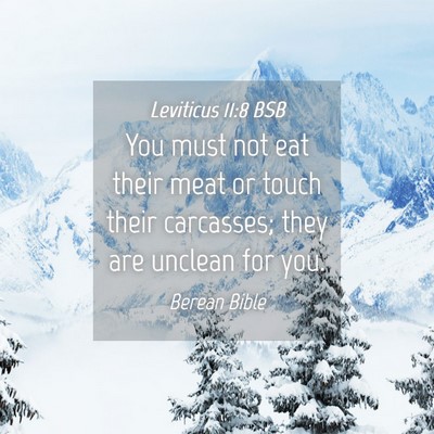 Picture 04 - Leviticus 11:8 BSB - You must not eat their meat or touch their - Bible Verse Picture
