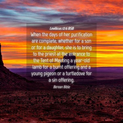 Picture 04 - Leviticus 12:6 BSB - When the days of her purification are complete, - Bible Verse Picture
