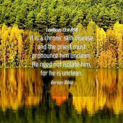 Picture 04 - Leviticus 13:11 BSB - it is a chronic skin disease and the priest must - Bible Verse Picture