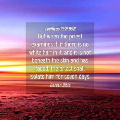 Picture 04 - Leviticus 13:21 BSB - But when the priest examines it, if there is no - Bible Verse Picture
