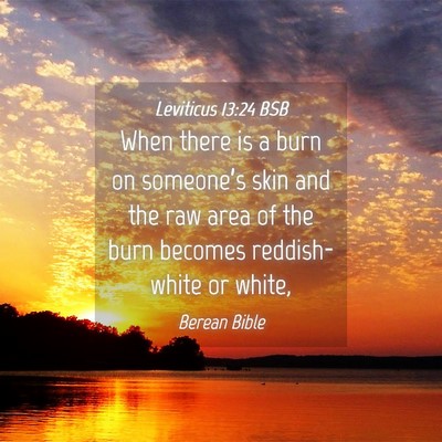 Picture 04 - Leviticus 13:24 BSB - When there is a burn on someone’s skin and the - Bible Verse Picture