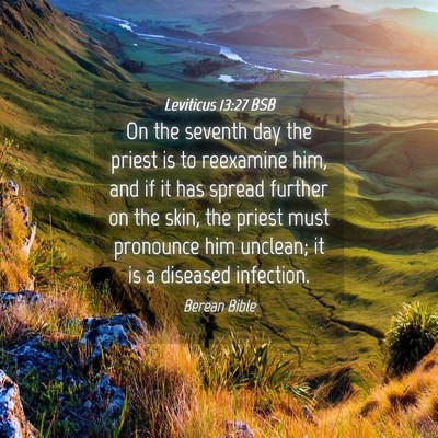 Picture 04 - Leviticus 13:27 BSB - On the seventh day the priest is to reexamine - Bible Verse Picture
