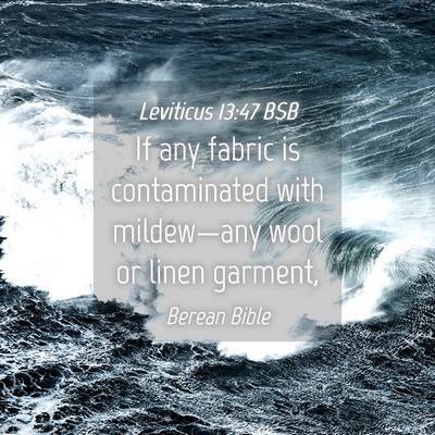 Picture 04 - Leviticus 13:47 BSB - If any fabric is contaminated with mildew—any - Bible Verse Picture