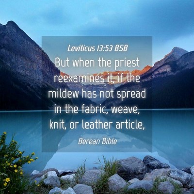 Picture 04 - Leviticus 13:53 BSB - But when the priest reexamines it, if the mildew - Bible Verse Picture