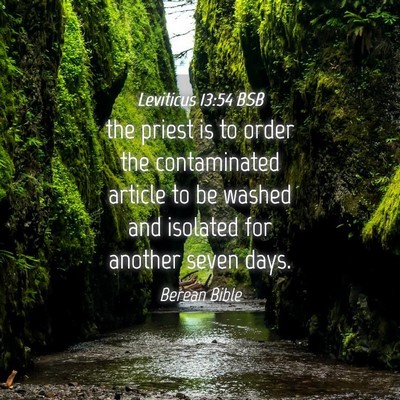 Picture 04 - Leviticus 13:54 BSB - the priest is to order the contaminated article - Bible Verse Picture