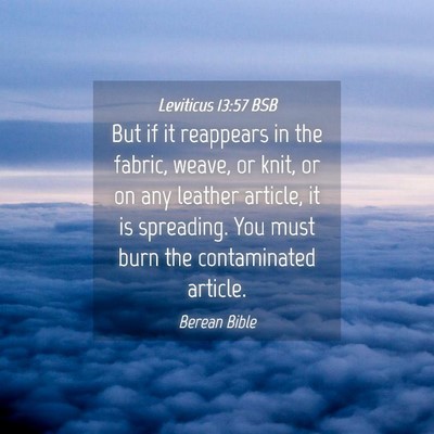 Picture 04 - Leviticus 13:57 BSB - But if it reappears in the fabric, weave, or - Bible Verse Picture