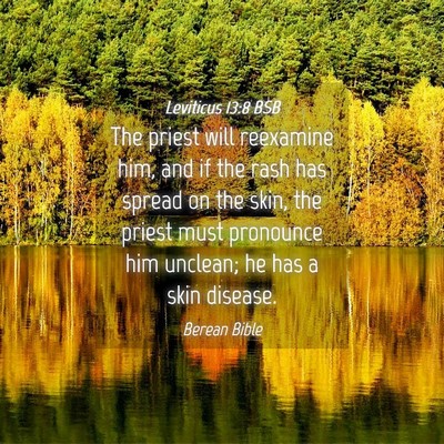Picture 04 - Leviticus 13:8 BSB - The priest will reexamine him, and if the rash - Bible Verse Picture