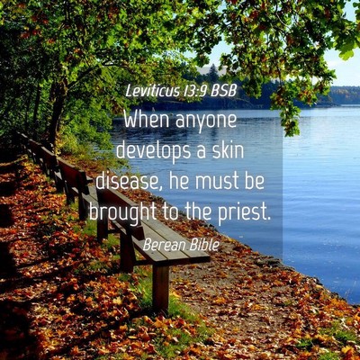 Picture 04 - Leviticus 13:9 BSB - When anyone develops a skin disease, he must be - Bible Verse Picture