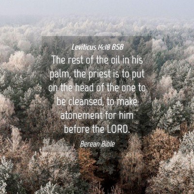 Picture 04 - Leviticus 14:18 BSB - The rest of the oil in his palm, the priest is to - Bible Verse Picture