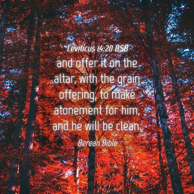 Picture 04 - Leviticus 14:20 BSB - and offer it on the altar, with the grain - Bible Verse Picture