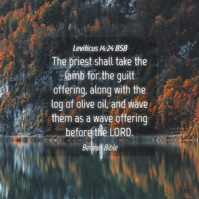 Picture 04 - Leviticus 14:24 BSB - The priest shall take the lamb for the guilt - Bible Verse Picture