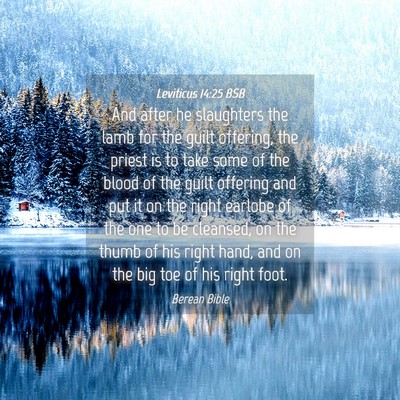 Picture 04 - Leviticus 14:25 BSB - And after he slaughters the lamb for the guilt - Bible Verse Picture