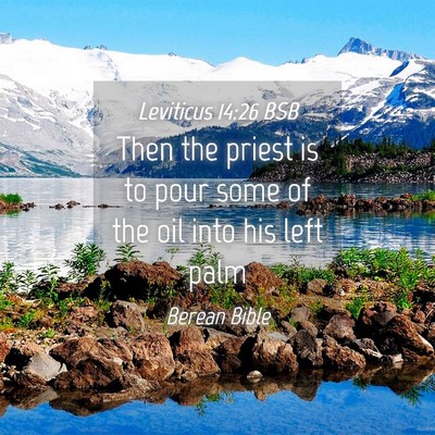Picture 04 - Leviticus 14:26 BSB - Then the priest is to pour some of the oil into - Bible Verse Picture