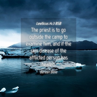 Picture 04 - Leviticus 14:3 BSB - The priest is to go outside the camp to examine - Bible Verse Picture
