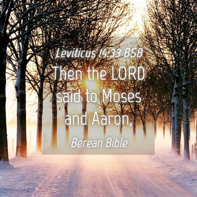 Picture 04 - Leviticus 14:33 BSB - Then the LORD said to Moses and - Bible Verse Picture
