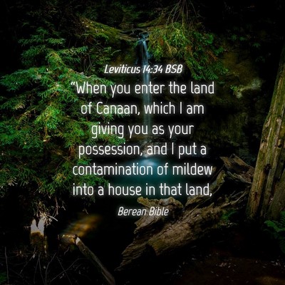 Picture 04 - Leviticus 14:34 BSB - “When you enter the land of Canaan, which I am - Bible Verse Picture