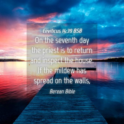 Picture 04 - Leviticus 14:39 BSB - On the seventh day the priest is to return and - Bible Verse Picture