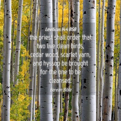 Picture 04 - Leviticus 14:4 BSB - the priest shall order that two live clean birds, - Bible Verse Picture