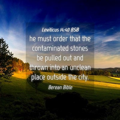 Picture 04 - Leviticus 14:40 BSB - he must order that the contaminated stones be - Bible Verse Picture