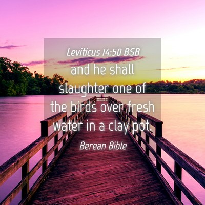 Picture 04 - Leviticus 14:50 BSB - and he shall slaughter one of the birds over - Bible Verse Picture