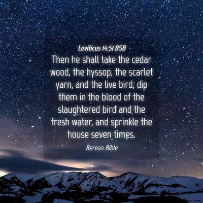Picture 04 - Leviticus 14:51 BSB - Then he shall take the cedar wood, the hyssop, - Bible Verse Picture