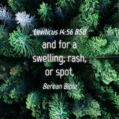 Picture 04 - Leviticus 14:56 BSB - and for a swelling, rash, or - Bible Verse Picture