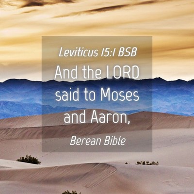 Picture 04 - Leviticus 15:1 BSB - And the LORD said to Moses and - Bible Verse Picture