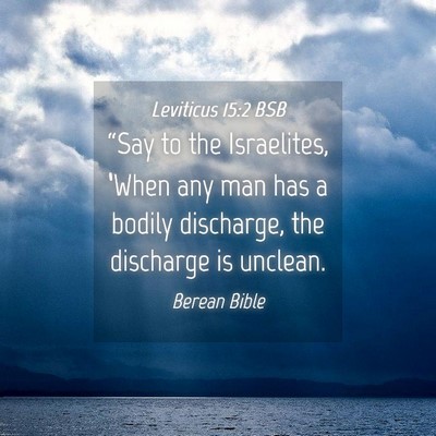 Picture 04 - Leviticus 15:2 BSB - “Say to the Israelites, ‘When any man has a - Bible Verse Picture