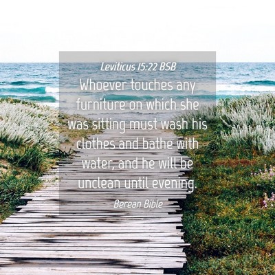 Picture 04 - Leviticus 15:22 BSB - Whoever touches any furniture on which she was - Bible Verse Picture