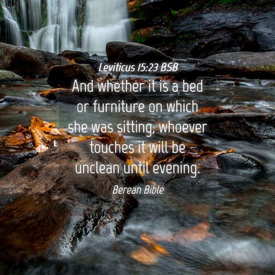 Picture 04 - Leviticus 15:23 BSB - And whether it is a bed or furniture on which she - Bible Verse Picture