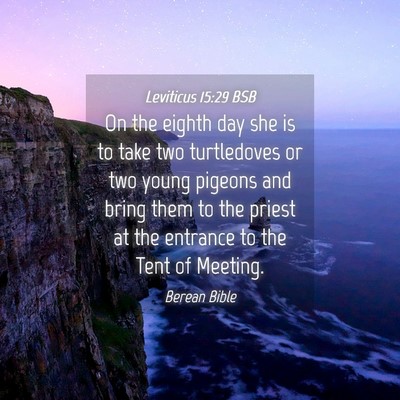 Picture 04 - Leviticus 15:29 BSB - On the eighth day she is to take two turtledoves - Bible Verse Picture