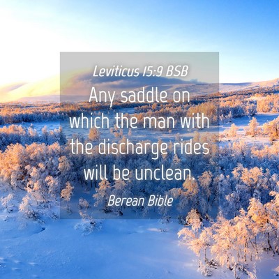 Picture 04 - Leviticus 15:9 BSB - Any saddle on which the man with the discharge - Bible Verse Picture