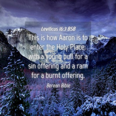 Picture 04 - Leviticus 16:3 BSB - This is how Aaron is to enter the Holy Place: - Bible Verse Picture