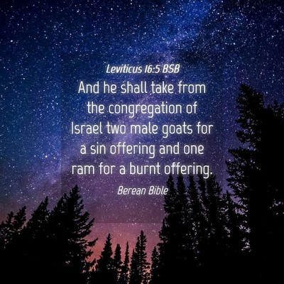 Picture 04 - Leviticus 16:5 BSB - And he shall take from the congregation of Israel - Bible Verse Picture