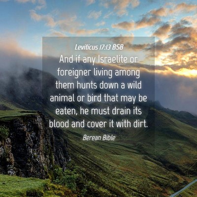 Picture 04 - Leviticus 17:13 BSB - And if any Israelite or foreigner living among - Bible Verse Picture
