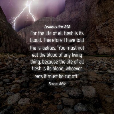 Picture 04 - Leviticus 17:14 BSB - For the life of all flesh is its blood. Therefore - Bible Verse Picture