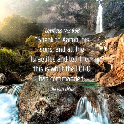 Picture 04 - Leviticus 17:2 BSB - “Speak to Aaron, his sons, and all the - Bible Verse Picture