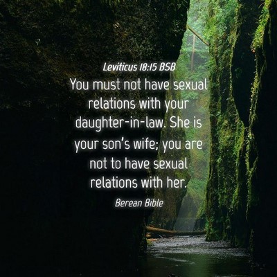 Picture 04 - Leviticus 18:15 BSB - You must not have sexual relations with your - Bible Verse Picture