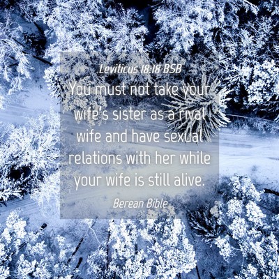 Picture 04 - Leviticus 18:18 BSB - You must not take your wife’s sister as a rival - Bible Verse Picture