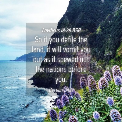 Picture 04 - Leviticus 18:28 BSB - So if you defile the land, it will vomit you out - Bible Verse Picture