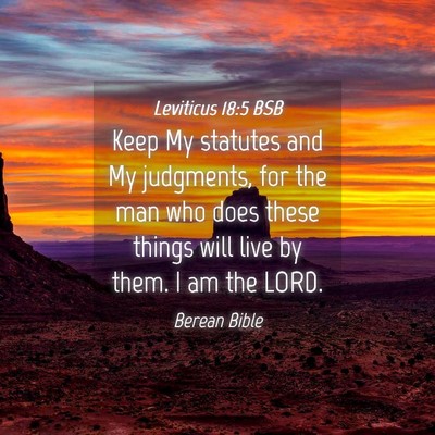 Picture 04 - Leviticus 18:5 BSB - Keep My statutes and My judgments, for the man - Bible Verse Picture