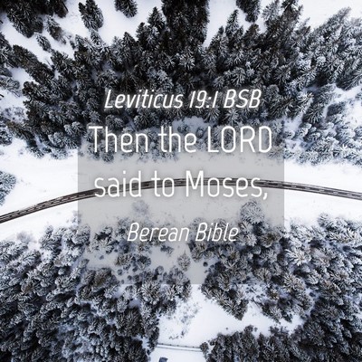 Picture 04 - Leviticus 19:1 BSB - Then the LORD said to - Bible Verse Picture