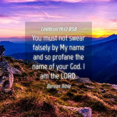 Picture 04 - Leviticus 19:12 BSB - You must not swear falsely by My name and so - Bible Verse Picture