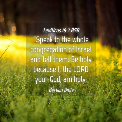 Picture 04 - Leviticus 19:2 BSB - “Speak to the whole congregation of Israel and - Bible Verse Picture