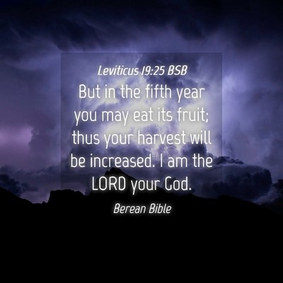 Picture 04 - Leviticus 19:25 BSB - But in the fifth year you may eat its fruit; thus - Bible Verse Picture