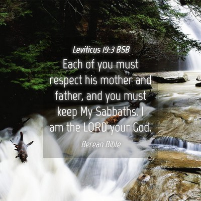 Picture 04 - Leviticus 19:3 BSB - Each of you must respect his mother and father, - Bible Verse Picture