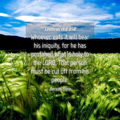 Picture 04 - Leviticus 19:8 BSB - Whoever eats it will bear his iniquity, for he - Bible Verse Picture