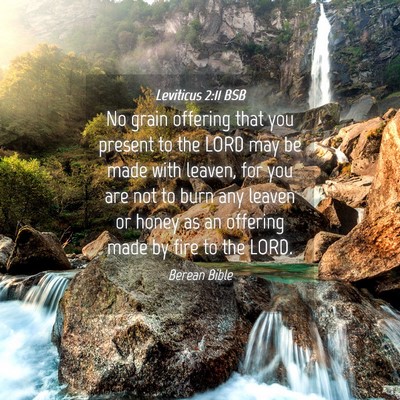 Picture 04 - Leviticus 2:11 BSB - No grain offering that you present to the LORD - Bible Verse Picture